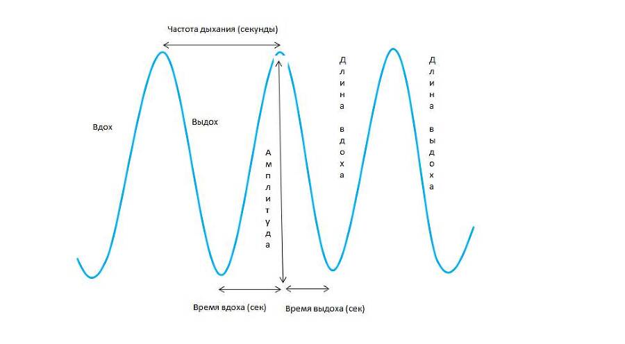 Детекция лжи от А до Я - _9.jpg