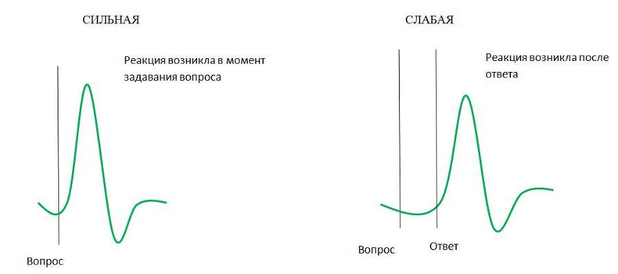 Детекция лжи от А до Я - _41.jpg