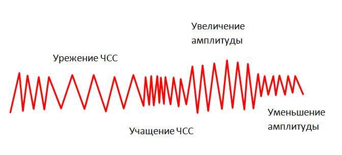 Детекция лжи от А до Я - _55.jpg