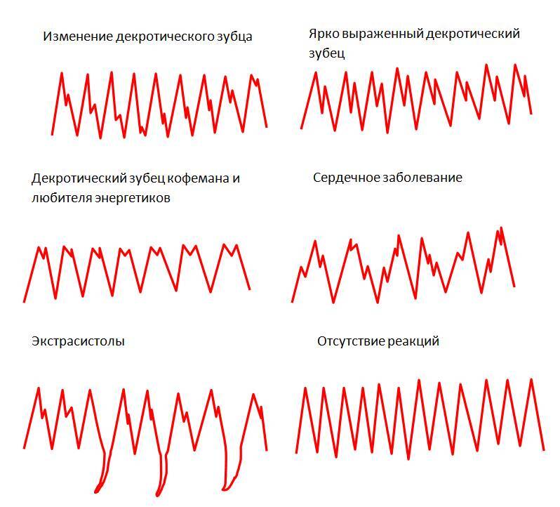 Детекция лжи от А до Я - _56.jpg