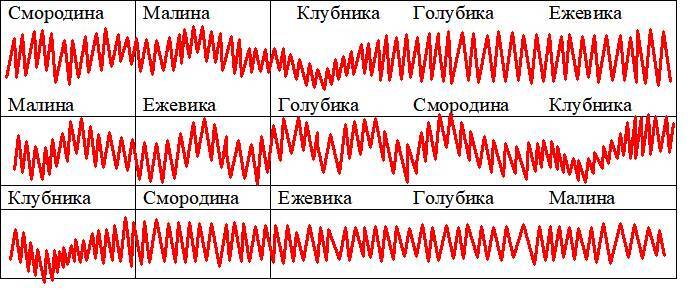 Детекция лжи от А до Я - _60.jpg