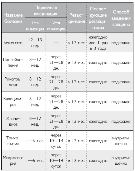 Здоровье кошки от усов до кончика хвоста - i_007.png