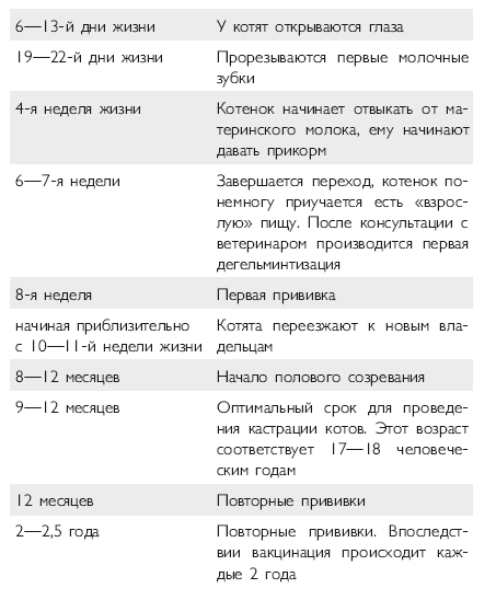 Здоровье кошки от усов до кончика хвоста - i_014.png