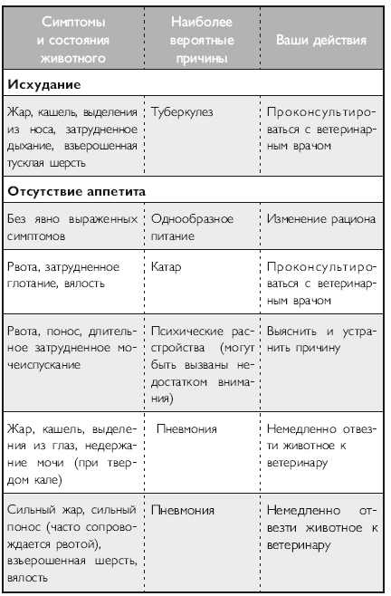 Здоровье кошки от усов до кончика хвоста - i_019.png