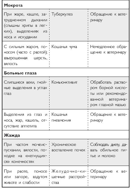 Здоровье кошки от усов до кончика хвоста - i_022.png