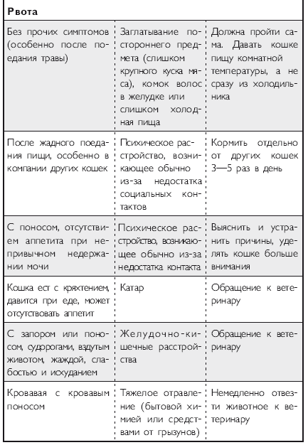 Здоровье кошки от усов до кончика хвоста - i_023.png