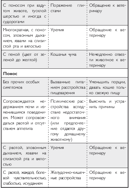 Здоровье кошки от усов до кончика хвоста - i_024.png