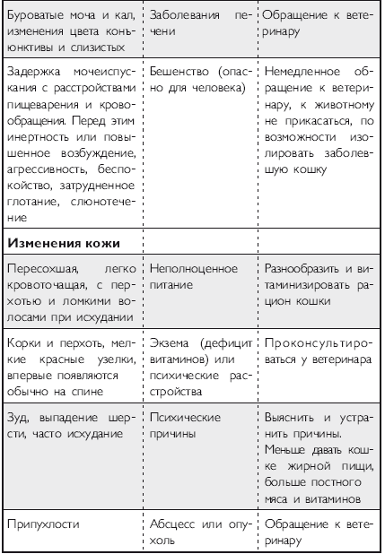 Здоровье кошки от усов до кончика хвоста - i_027.png