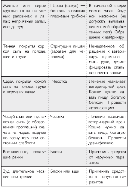 Здоровье кошки от усов до кончика хвоста - i_028.png