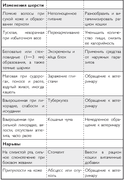 Здоровье кошки от усов до кончика хвоста - i_029.png