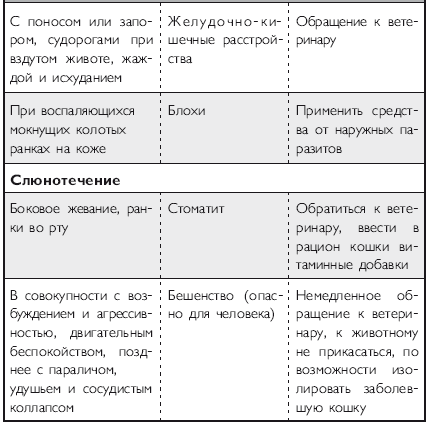 Здоровье кошки от усов до кончика хвоста - i_032.png