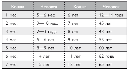 Здоровье кошки от усов до кончика хвоста - i_034.png