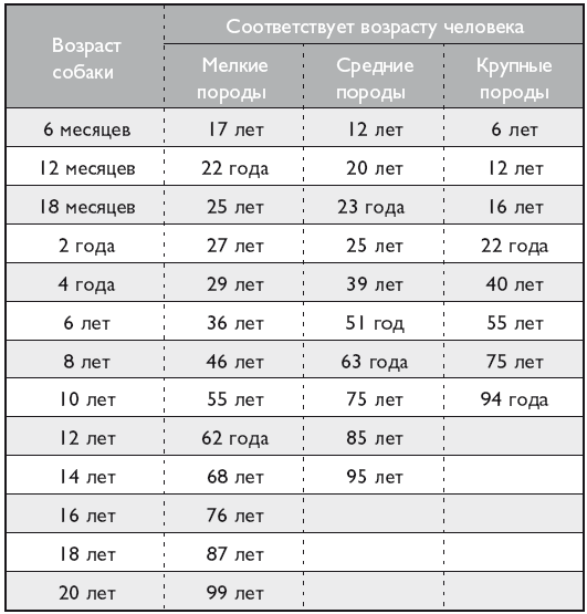 Ветеринар советует. Продлите жизнь своей собаке - i_004.png