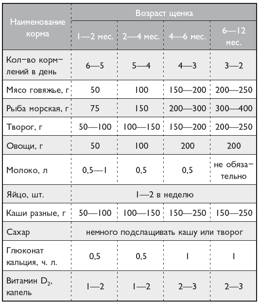 Ветеринар советует. Продлите жизнь своей собаке - i_016.png