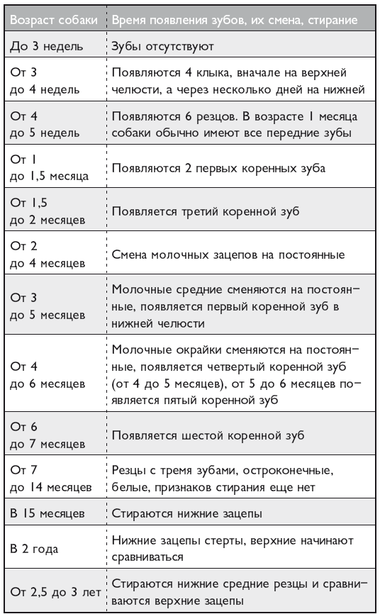 Ветеринар советует. Продлите жизнь своей собаке - i_026.png