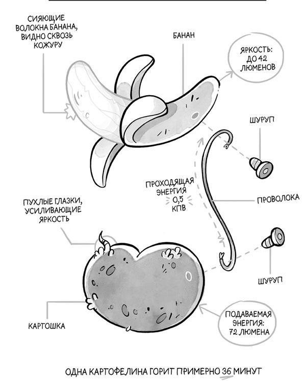 Флембер - i_026.jpg