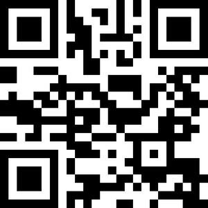 История российского видеоблогинга: от Макса 100500 до TikTok-хаусов - i_005.png