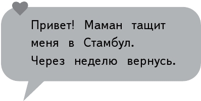 Полина в Стамбуле. Приключения девочки-путешественницы - i_008.jpg