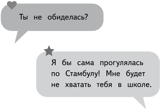 Полина в Стамбуле. Приключения девочки-путешественницы - i_010.jpg