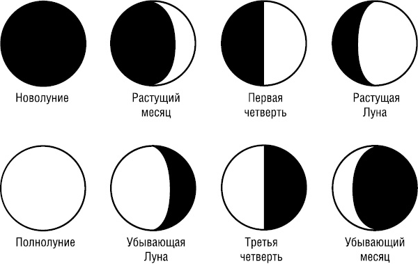 Просто Викка: руководство по Ремеслу Мудрых для начинающих. Викканская магия: настольная книга современной ведьмы. Традиционная Викка. Викка: год и один день - i_010.png