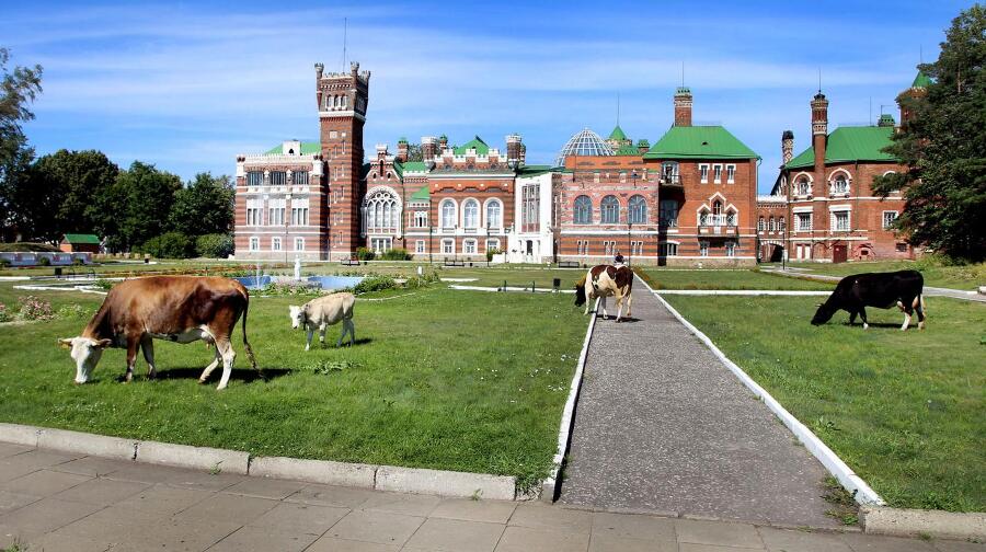 Каталог фотовыставки «Мгновение наследия 2023» - img_0.jpeg