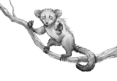 Сердце льва - i_004.jpg