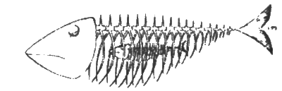 Антология сатиры и юмора России XX века. Том 11. Клуб 12 стульев - i_057.png