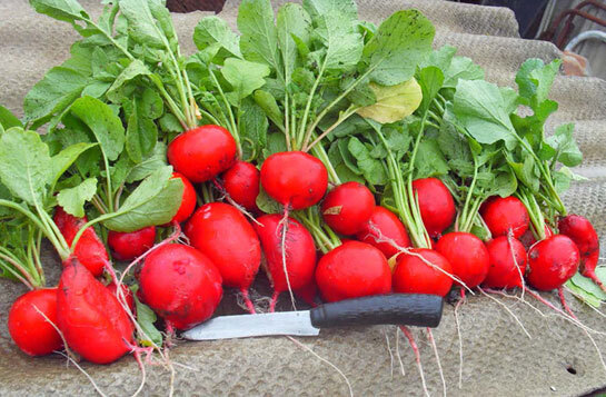 Новый век начался с понедельника - i_018.jpg