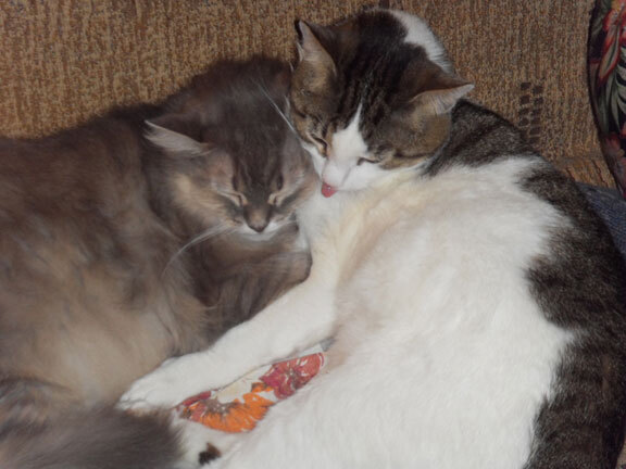 Новый век начался с понедельника - i_026.jpg