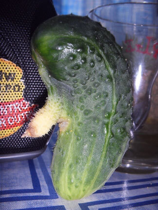 Год Быка - i_017.jpg