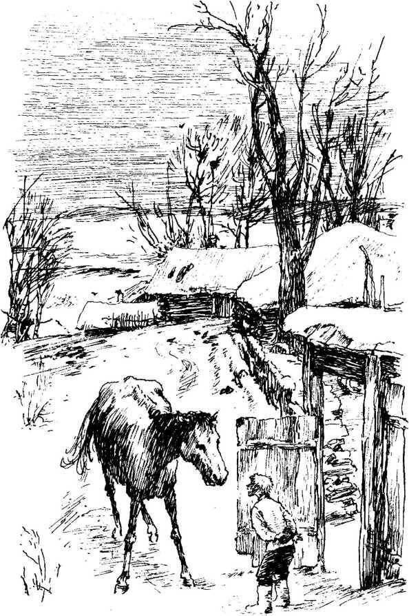 Спешите делать добрые дела - image38.jpg