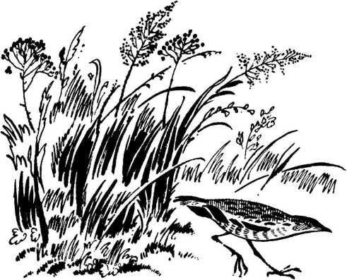 Спешите делать добрые дела - image39.jpg