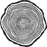 Круг Года: викканские праздники, их атрибуты и значение. Викканская магия: настольная книга современной ведьмы - i_004.png