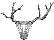 Круг Года: викканские праздники, их атрибуты и значение. Викканская магия: настольная книга современной ведьмы - i_005.png