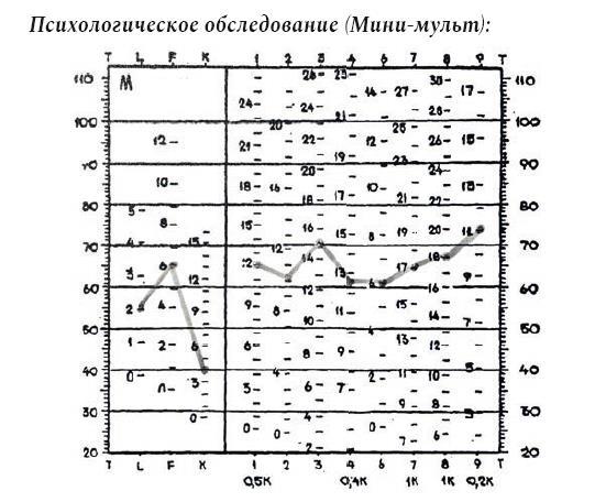 Психиатрия в лицах пациентов. Диагностически неоднозначные клинические случаи в психиатрической практике - i_004.jpg