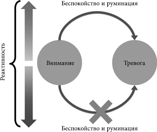 Не позволяйте тревоге рулить вашей жизнью. Наука управления эмоциями и осознанность для преодоления страха и беспокойства. Самооценка. Проверенная программа когнитивных техник для улучшения вашего самоуважения - i_005.png