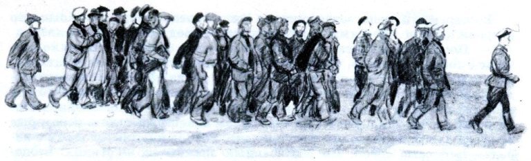 Невская равнина - i_033.jpg