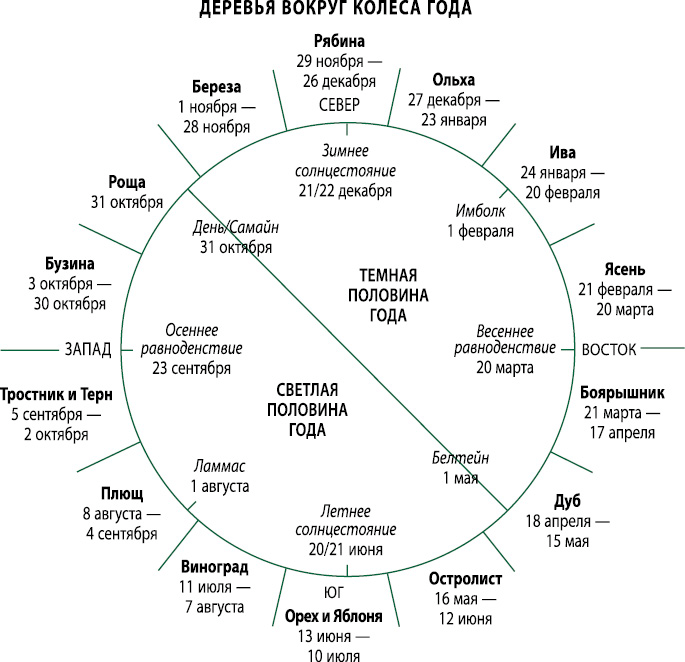 Кельтские ритуалы с деревьями: церемонии для тринадцати лунных месяцев и одного дня. Полный справочник по церемониальной магии: подробное руководство по западной мистической традиции - i_004.png