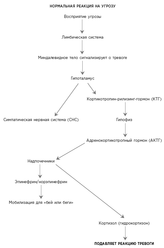 Воспоминания тела. Психофизиология и терапия психологической травмы - i_001.jpg