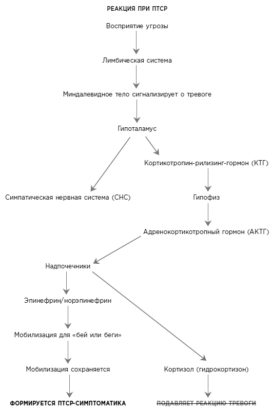 Воспоминания тела. Психофизиология и терапия психологической травмы - i_002.jpg