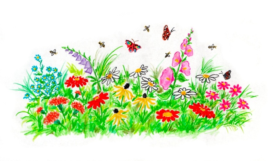 Подорожник к сердцу приложи - _25.jpg