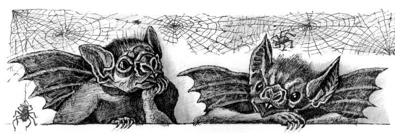 Киевские ведьмы - i_003.jpg