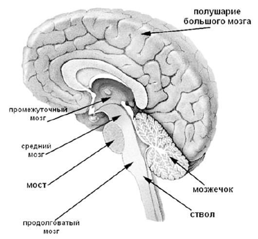 Действие вместо реакции - i_007.jpg