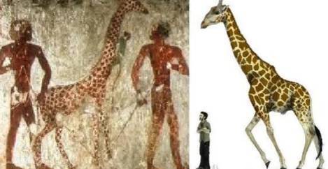 Шторм. Начало - _16.jpg