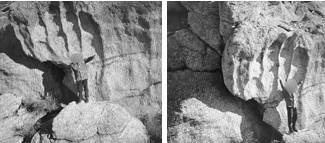 Шторм. Начало - _21.jpg