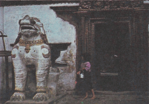 Боги лотоса. Критические заметки о мифах, верованиях и мистике Востока - pic_29.png