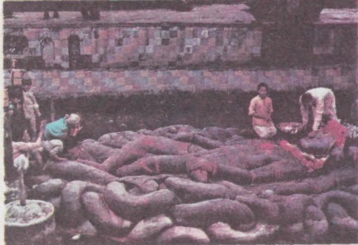 Боги лотоса. Критические заметки о мифах, верованиях и мистике Востока - pic_52.jpg