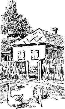 Листочки из тетради - img_13.jpeg