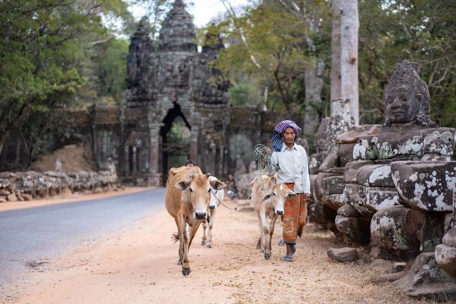Загадочный Ангкор, Камбоджа - _2.jpg