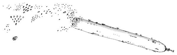 Чарли и большой стеклянный лифт - i_030.jpg